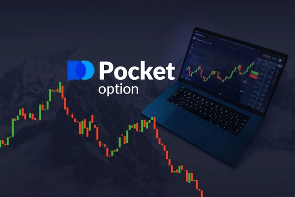 Unlocking the Potential of Cabinet Pocket Option TR