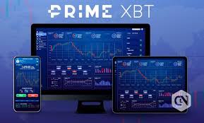 Understanding the PrimeXBT Privacy Policy 4